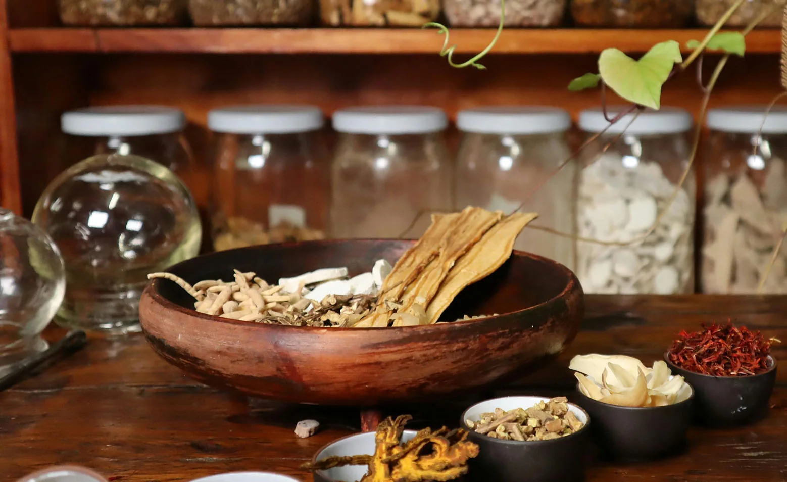 Plantes utilisées en pharmacopée chinoise